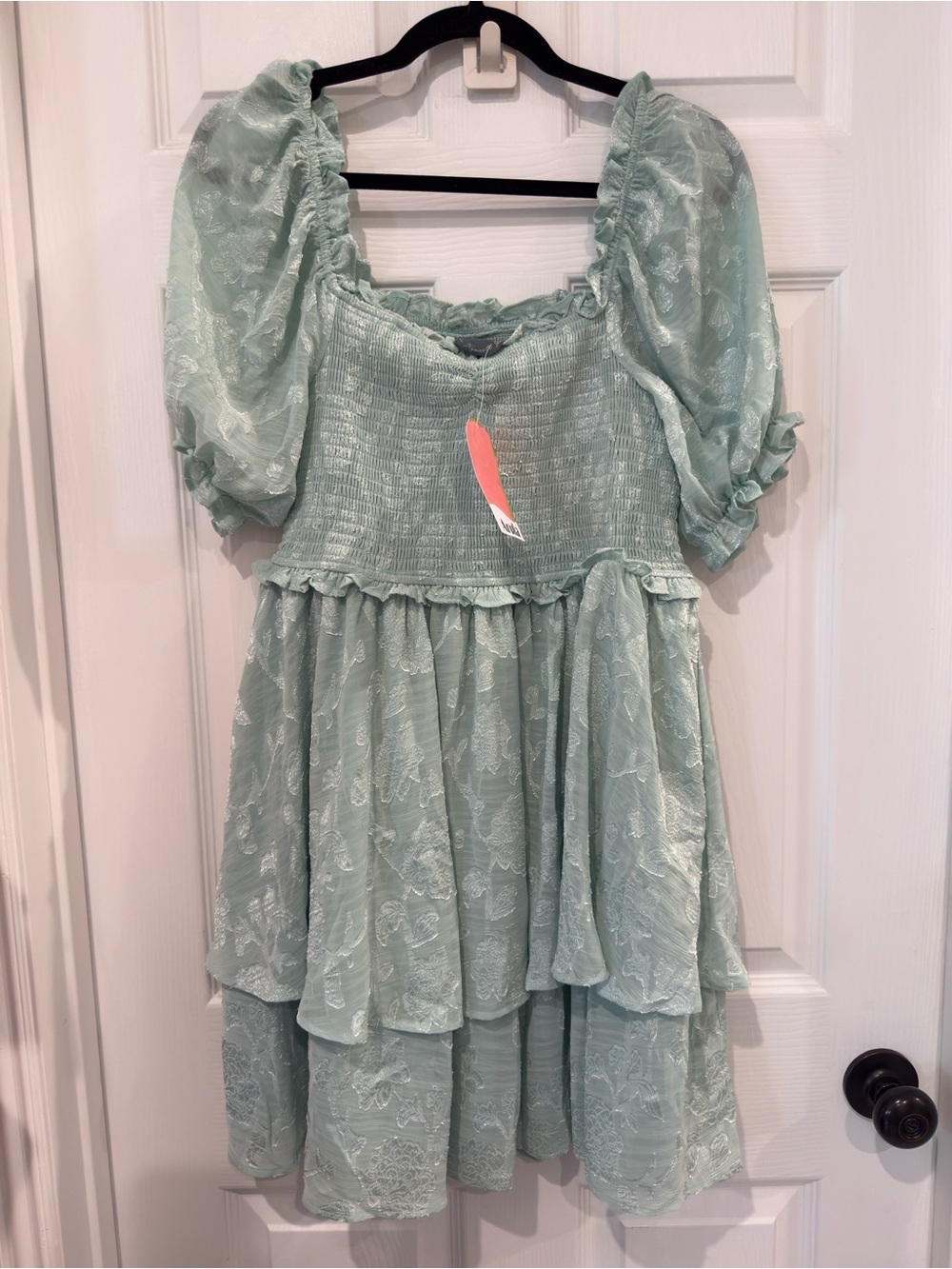 Sage Green Floral Lace Puff Sleeve Smocked Tiered Mini Dress NWT